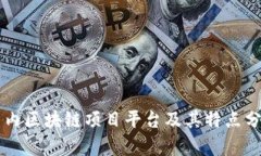 国内区块链项目平台及其特点分析