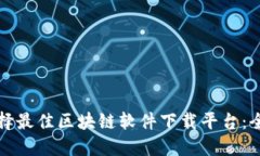 如何选择最佳区块链软件下载平台：全面指南