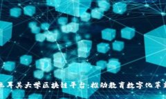土耳其大学区块链平台：推动教育数字化革新