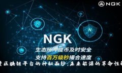 揭开能量区块链平台的神秘面纱：未来能源的革
