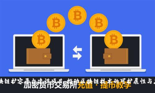区块链扩容平台建设项目：推动区块链技术的可扩展性与应用