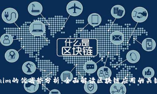 Tokenim的优劣势分析：全面解读区块链应用的关键因素