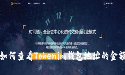 如何查看Tokenim钱包地址的金额