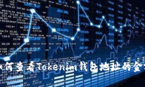 如何查看Tokenim钱包地址的金额