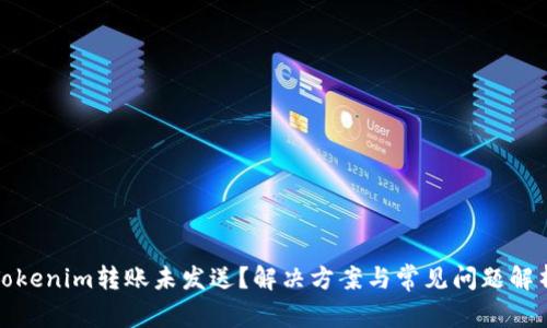 Tokenim转账未发送？解决方案与常见问题解析