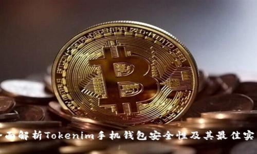 全面解析Tokenim手机钱包安全性及其最佳实践