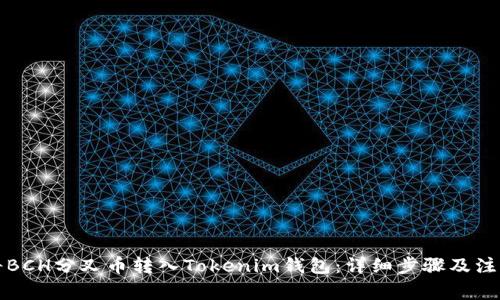如何将BCH分叉币转入Tokenim钱包：详细步骤及注意事项