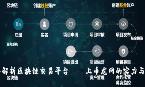 深入解析区块链交易平台——上币龙网的实力与未来