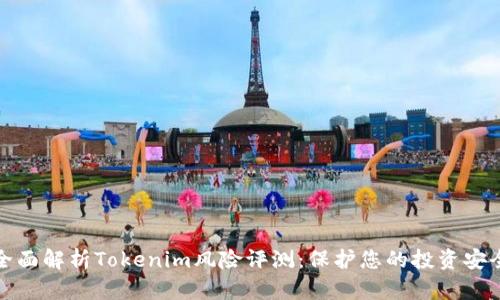 全面解析Tokenim风险评测：保护您的投资安全