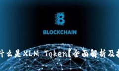 ### 什么是XLM Token？全面解