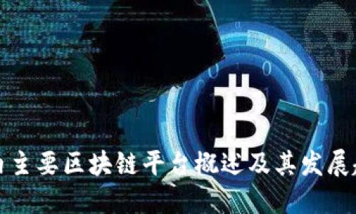 国内主要区块链平台概述及其发展趋势