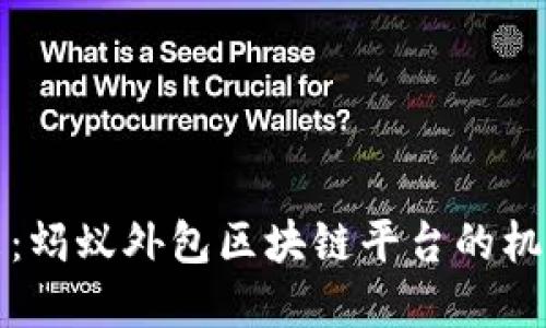 解锁未来：蚂蚁外包区块链平台的机遇与挑战