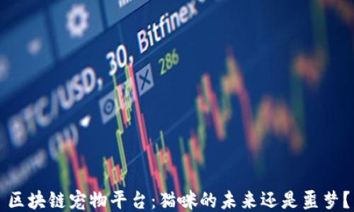 
区块链宠物平台：猫咪的未来还是噩梦？