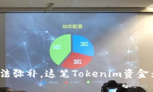 投资多少也无法弥补，这笔Tokenim资金为何不翼而飞？