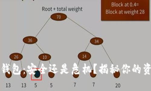 区块链平台钱包：安全还是危机？揭秘你的资产安全之路