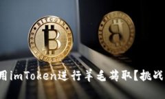 如何有效利用imToken进行羊