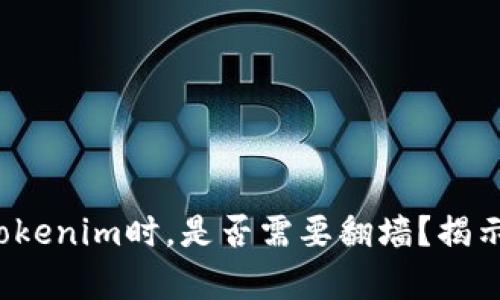 使用Tokenim时，是否需要翻墙？揭示真相！