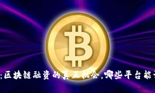 揭开谜底：区块链融资的真正机会，哪些平台能让你赚钱？