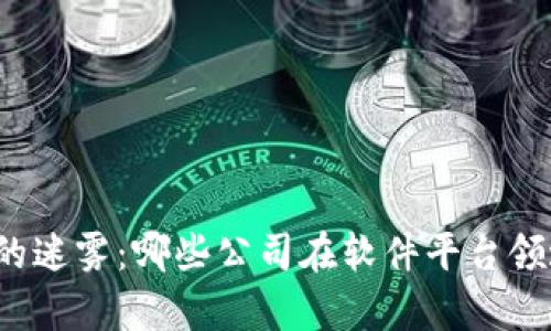 揭开区块链的迷雾：哪些公司在软件平台领域崭露头角？