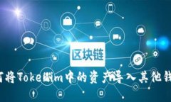 如何将Tokenim中的资产导入