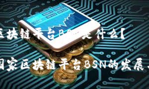 国家区块链平台BSN是什么？

探索国家区块链平台BSN的发展与应用