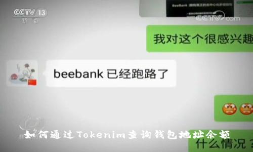 如何通过Tokenim查询钱包地址余额