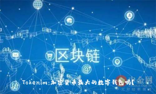Tokenim：加密货币最大的数字钱包吗？