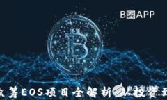 imToken众筹EOS项目全解析：从投资到风险评估