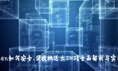 imToken如何安全、便捷地送出SNS？全面解析与实用