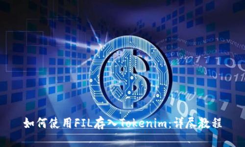 如何使用FIL存入Tokenim：详尽教程
