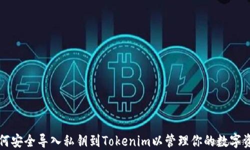 
如何安全导入私钥到Tokenim以管理你的数字资产