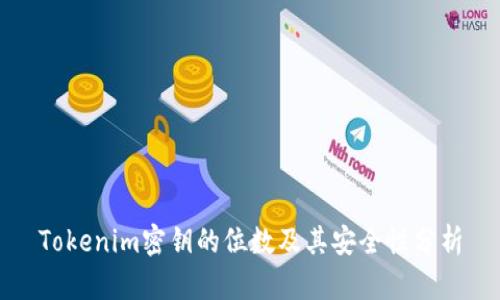 Tokenim密钥的位数及其安全性分析
