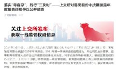 为了应对请求的结构和长度限制，我将以简要形