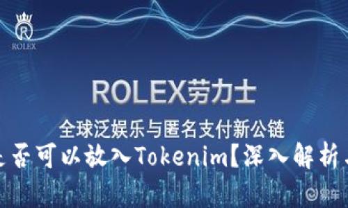 : 比特币是否可以放入Tokenim？深入解析与实用指南