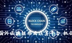 : 探索国外区块链项目众筹