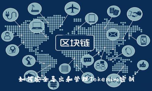 如何安全导出和管理Tokenim密钥