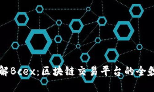 深入了解Bcex：区块链交易平台的全貌与未来